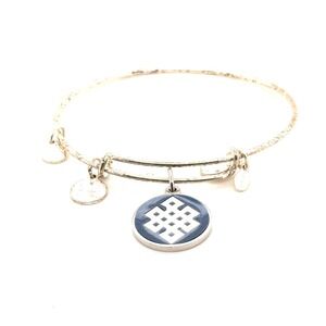 Alex and Ani Endless Knot Bangle Bracelet Blue Gold Charm Rafaelian Silver Finis